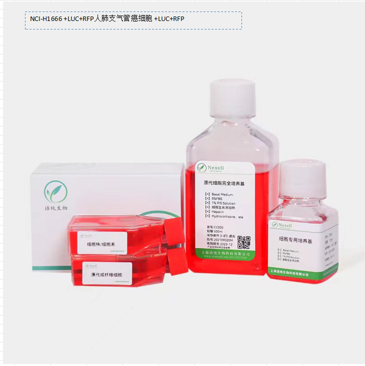 NCI-H1666 +LUC+RFP人肺支气管癌细胞 +LUC+RFP