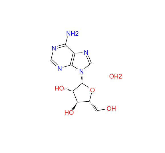 阿糖腺苷一水合物 24356-66-9