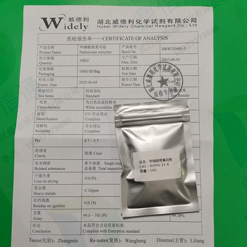 萘莫司他甲磺酸盐