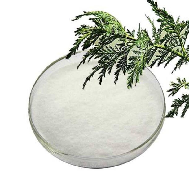 黄花蒿提取物 84775-74-6