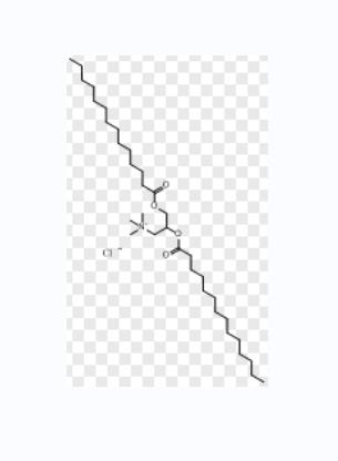 免疫佐剂脂质体DMTAP