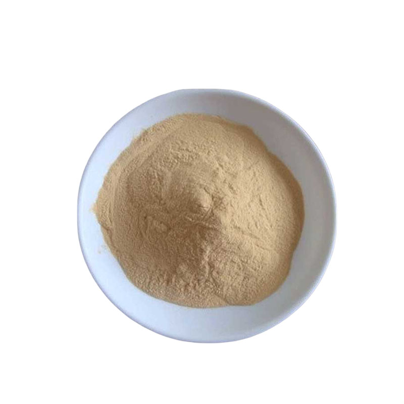 糖化酶 葡萄糖淀粉酶 酶制剂 发酵葡萄酒果汁饮料