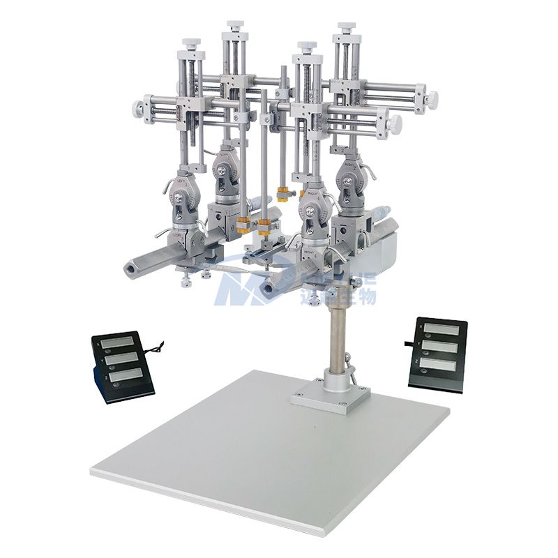 双臂大动物脑立体定位仪