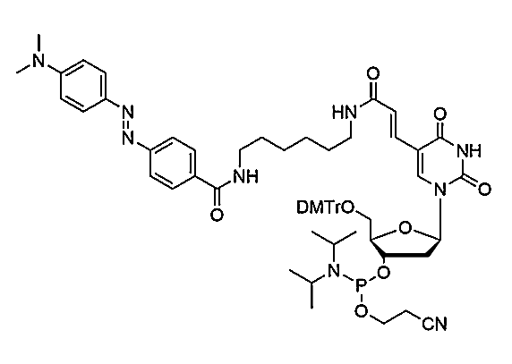 Dabcyl dT Phosphoramidite
