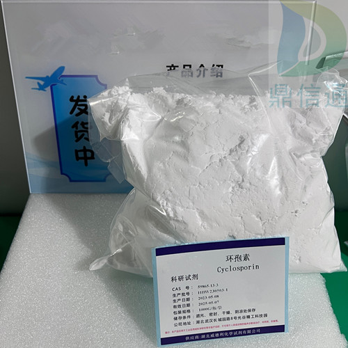环孢素；环孢素A；环孢菌素