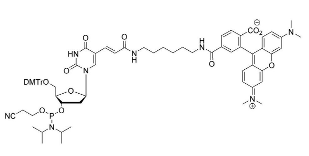 TAMRA-dT CE-Phosphoramidite