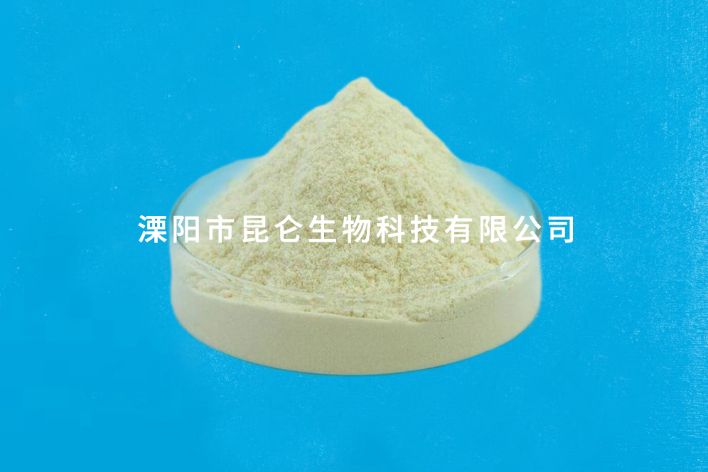 2,4-二氯-5-硝基嘧啶