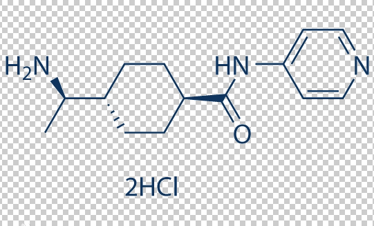 Y-27632二盐酸盐|ROCK抑制剂