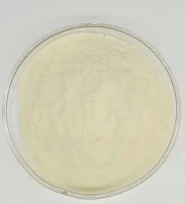 6627-34-5；2,5-二氯-4-硝基苯胺