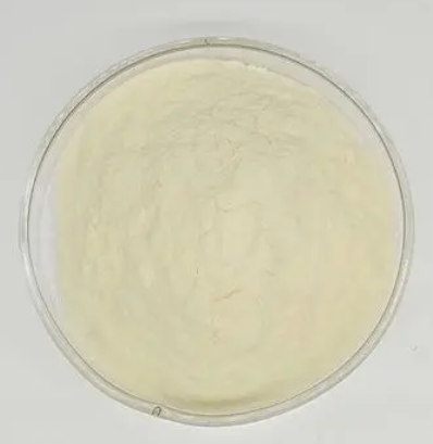 23306-60-7；4-(乙基磺酰基)-2-硝基苯胺