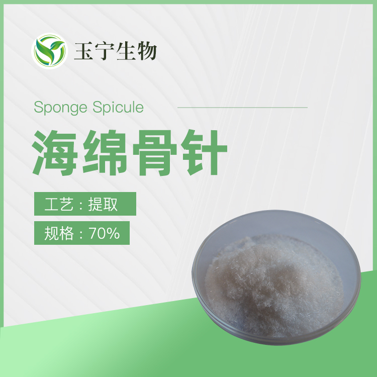 海绵骨针 70%