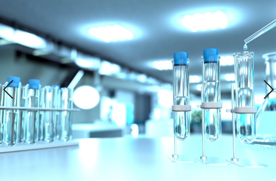生物实验动物