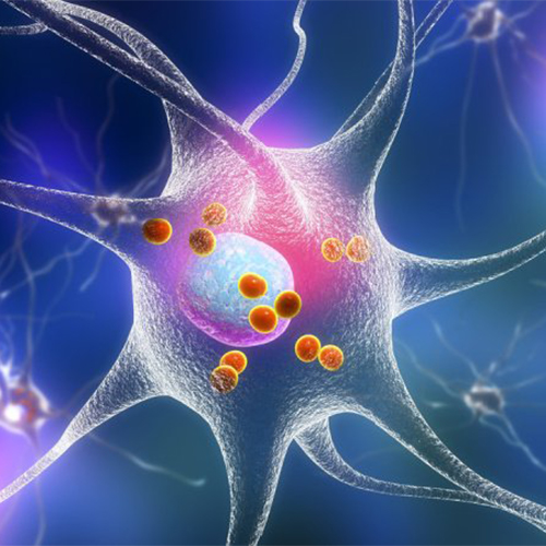 IL-12B & IL-12A，ACROBiosystems百普赛斯