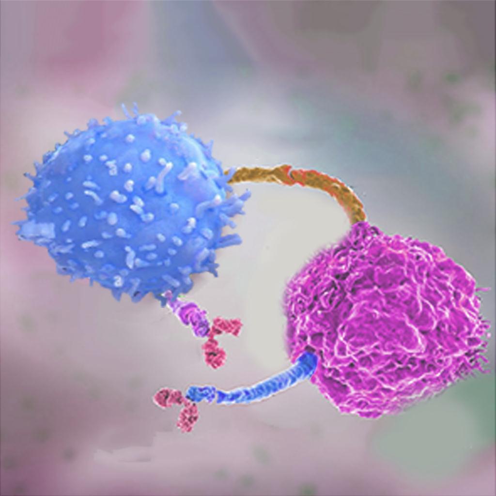 Glycoprotein (RABV)，ACROBiosystems百普赛斯