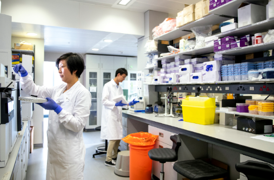 动物药理学实验