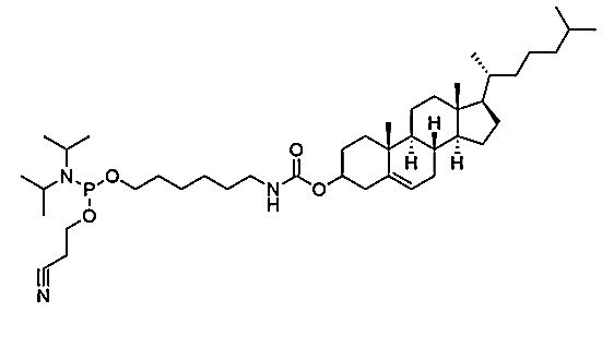 5'-Cholesterol-CE-Phosphoramidite