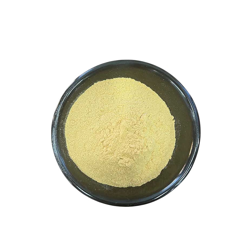 乳酸亚铁， 99%高含量，食品级，营养强化剂