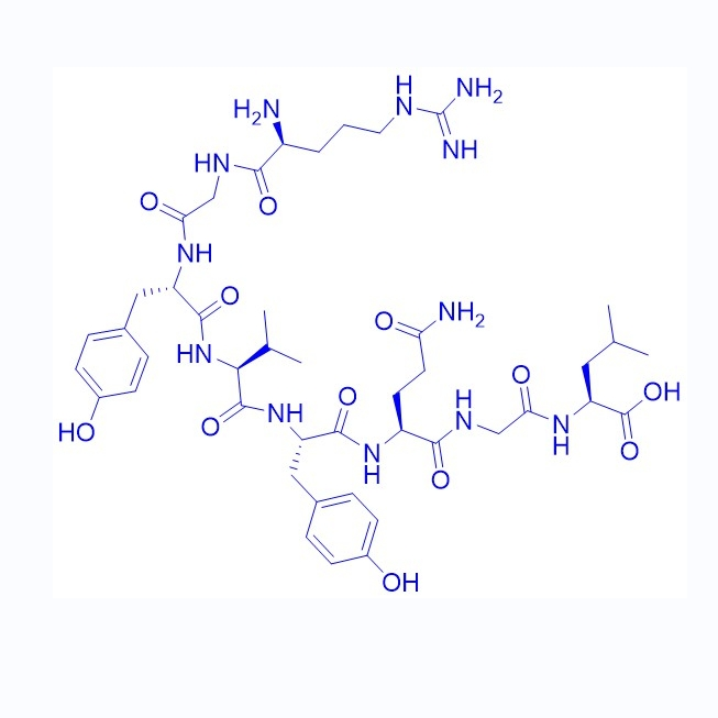 病毒相关肽VSV-8，RGYVYQGL/132326-74-0/Vesicular Stomatitis Virus peptide  