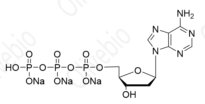 2'-脱氧腺苷-5'-三磷酸钠盐 （dATP.3Na）