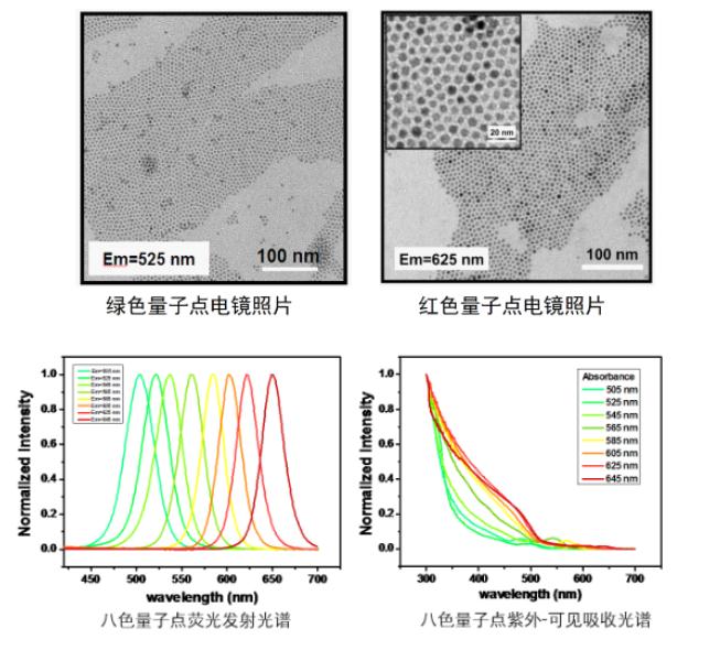 油溶性ZnCdS/ZnS量子点