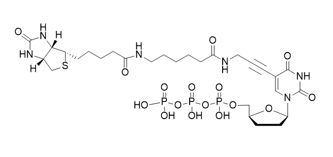 Biotin-11-ddUTP