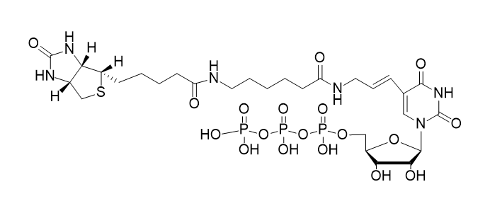 Biotin-11-UTP