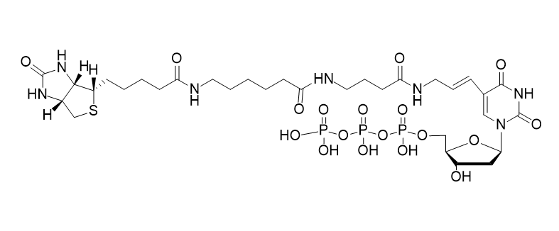 Biotin-16-dUTP