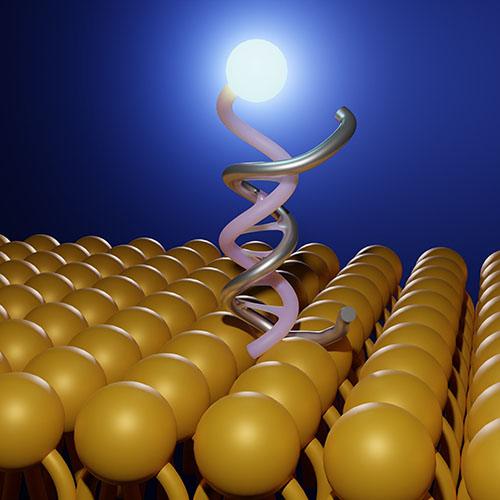 IL13RA2重组蛋白，ACROBiosystems百普赛斯