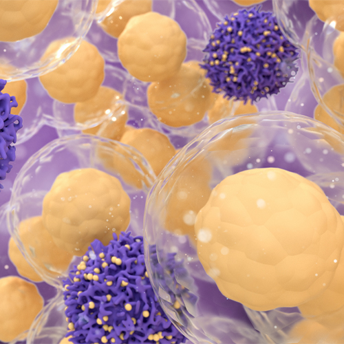 Nucleocapsid protein，ACROBiosystems百普赛斯