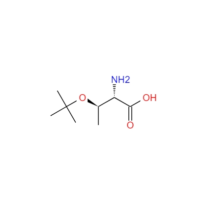 O-叔丁基-L-苏氨酸 4378-13-6
