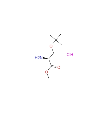 O-叔丁基-L-丝氨酸甲酯盐酸盐 17114-97-5