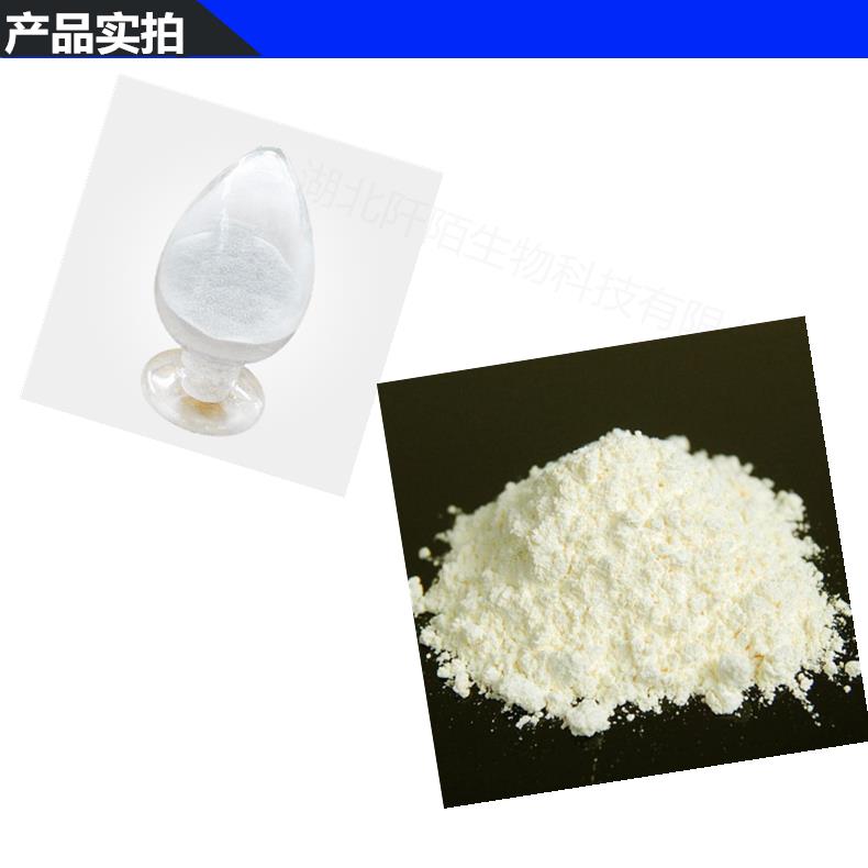 模板_副本11.png 模板_副本11.png