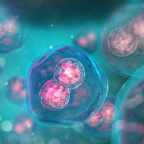 Thrombopoietin R重组蛋白，ACROBiosystems百普赛斯