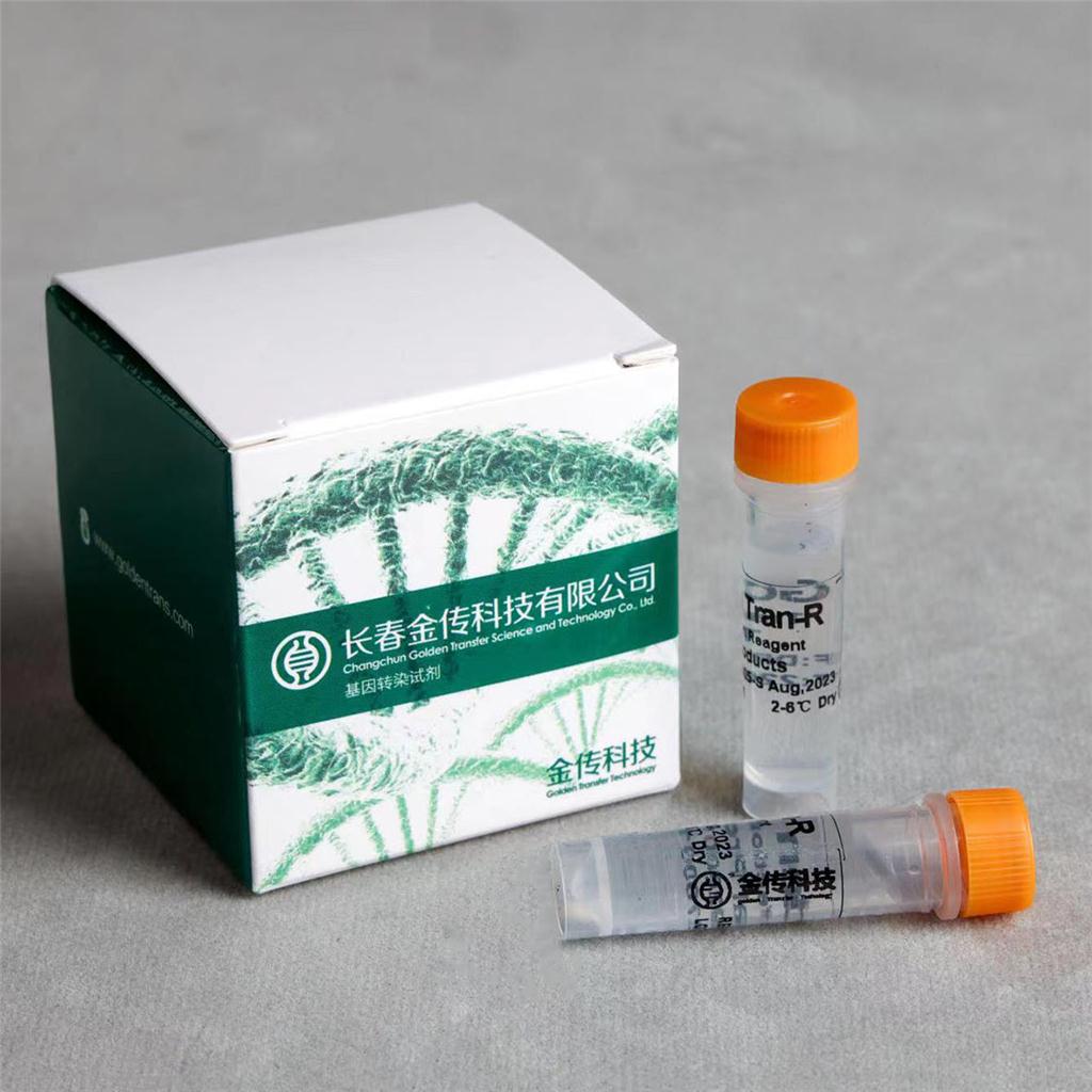 RNA高效转染试剂