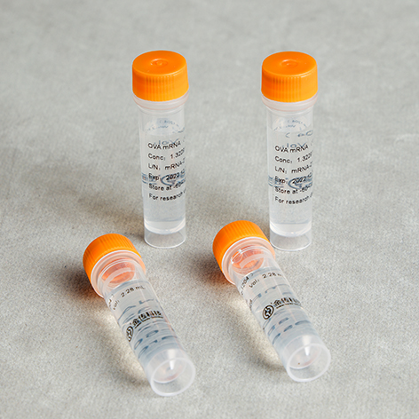 RNA高效转染试剂