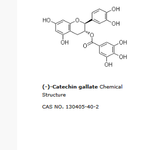 儿茶素没食子酸酯|Catechin gallate