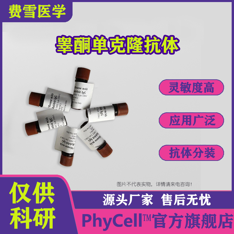 睾酮单克隆抗体