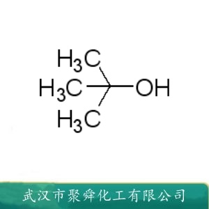 叔丁醇 75-65-0 有机溶剂 色谱分析试剂 