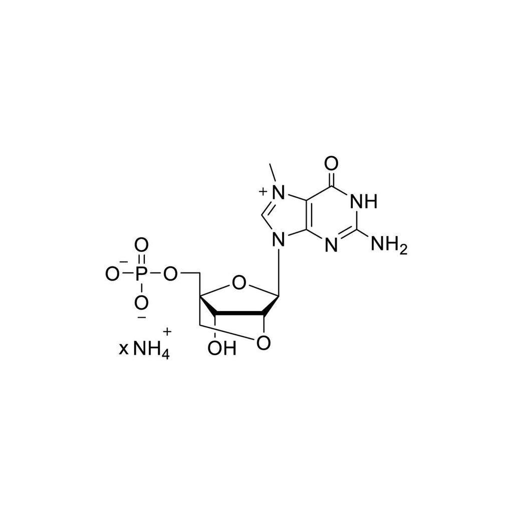 2'-O-4'-C-Locked-m7GMP 100mM Ammonium Solution