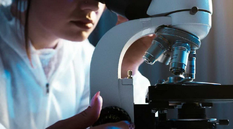 去甲肾上腺素杂质54, , 杂质 及 对照品, 定