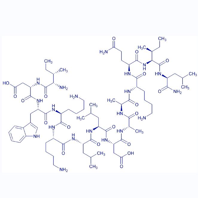 Polybia-MP1 872043-01-1.png