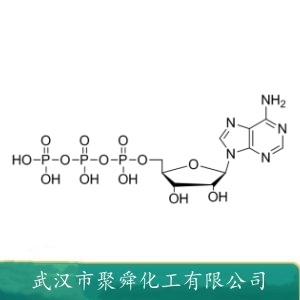 5’-三磷酸腺苷 56-65-5 中间体 可分装可零售