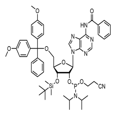 3'-TBDMS-Bz-rA Phosphoramidite