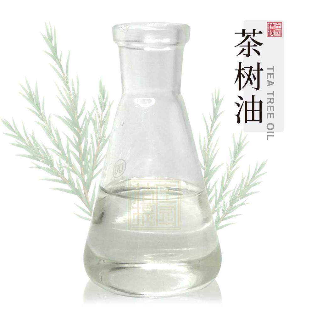 茶树油 植物提取互叶白千层油