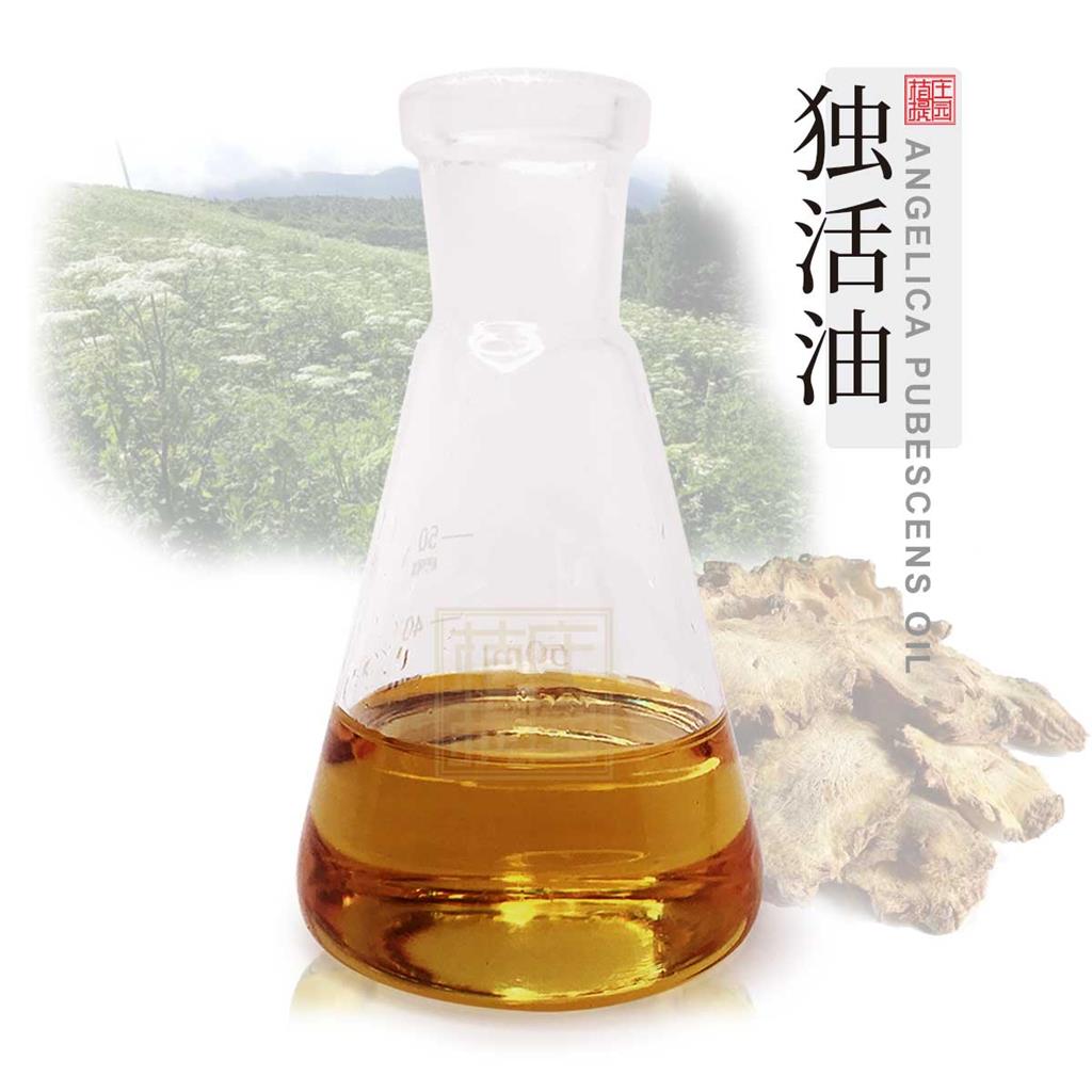 独活油 植物提取精油