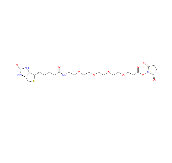 21-[(3AS,4S,6AR)-六氢-2-氧代-1H-噻吩并[3,4-D]咪唑-4-基]-17-氧代-4,7,10,13-四氧杂-16-氮杂二十一碳酸 2,5-二氧代-1-吡咯烷基酯 459426-22-3