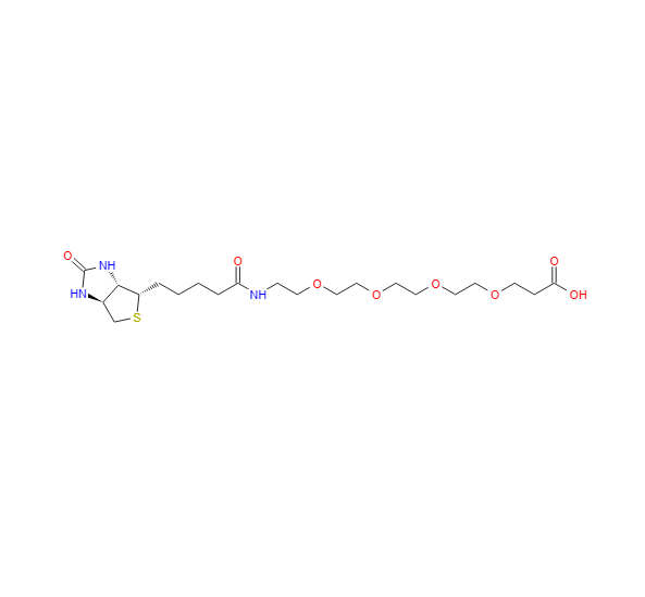 15-[D-(+)-生物素氨基]-4,7,10,13-四氧杂十五烷酸 721431-18-1