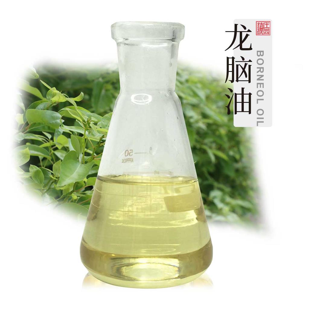 龙脑油 龙脑樟蒸馏提取单方精油