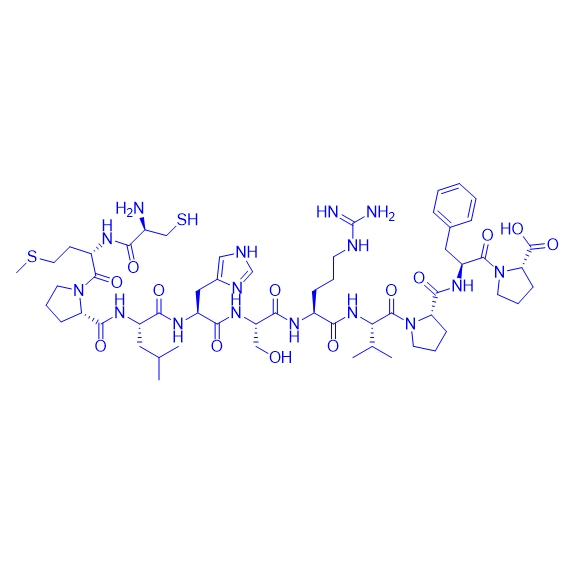apelin受体激动剂多肽ELA-11(human)/1784687-32-6/ELA-11(human)