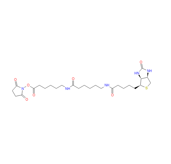 N-[6-(生物素氨基)己酰基]-6-氨基己酸N-琥珀酰亚胺酯 89889-52-1
